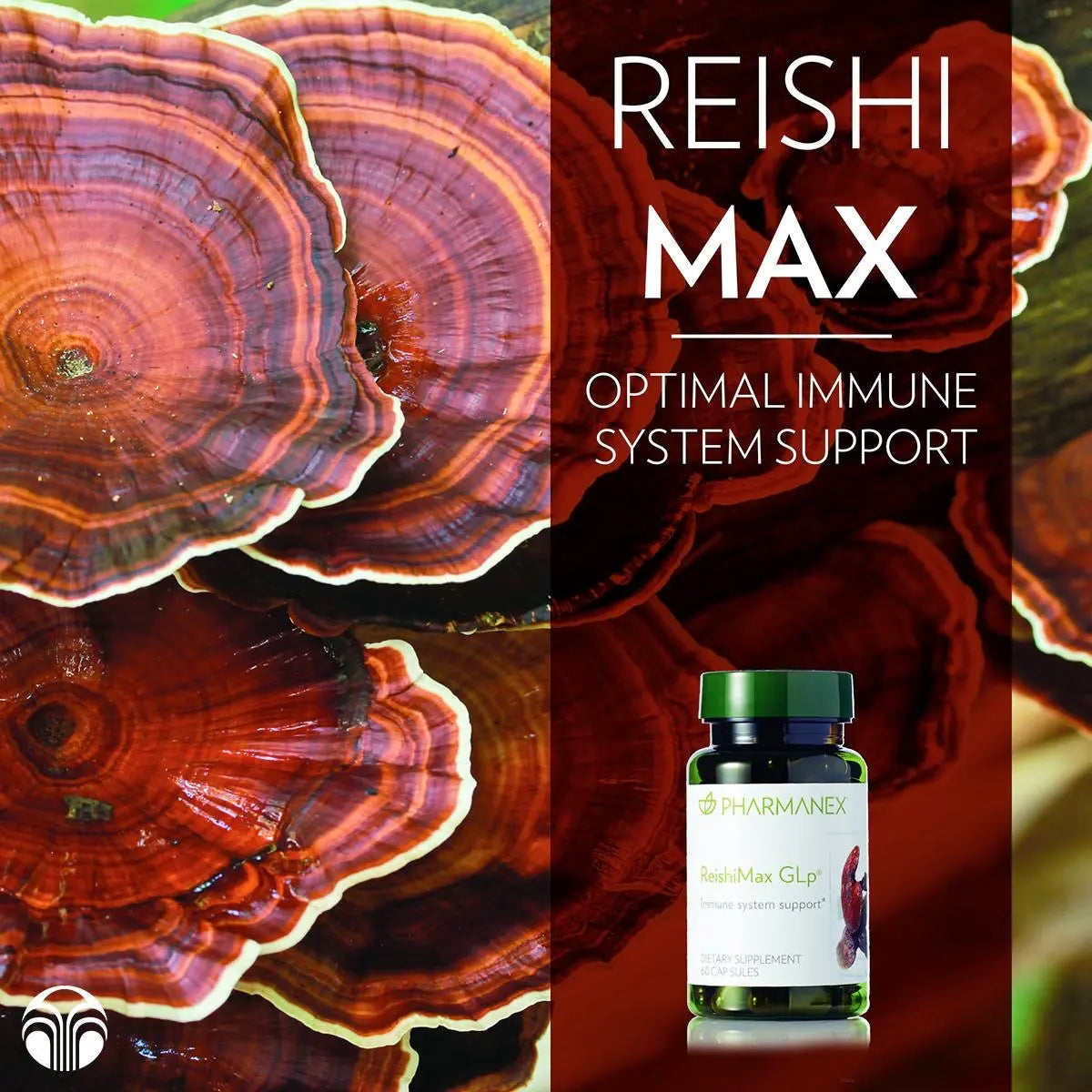 ReishiMax GLp®