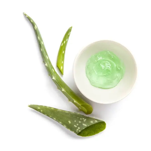 SGMY NuSkin Enhancer Conditioning Gel Aloe Vera