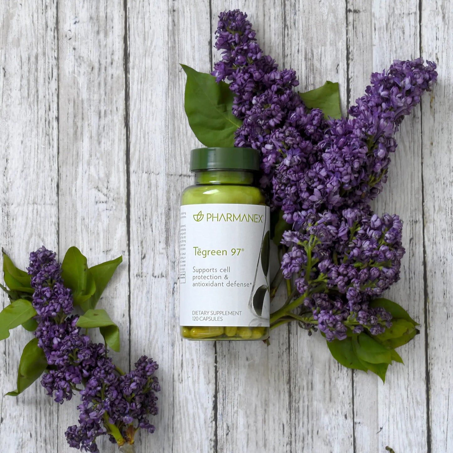 SGMY Supplements Tegreen 97 120 Capsules Lilac
