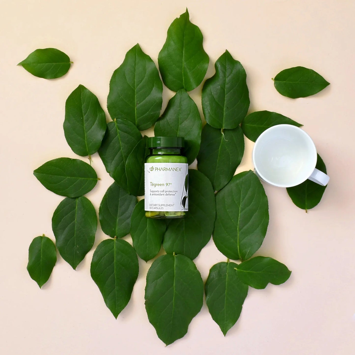 SGMY Supplements Tegreen 97 30 Capsules Green Tea Leaves Catechins Burn Fats 1 Month